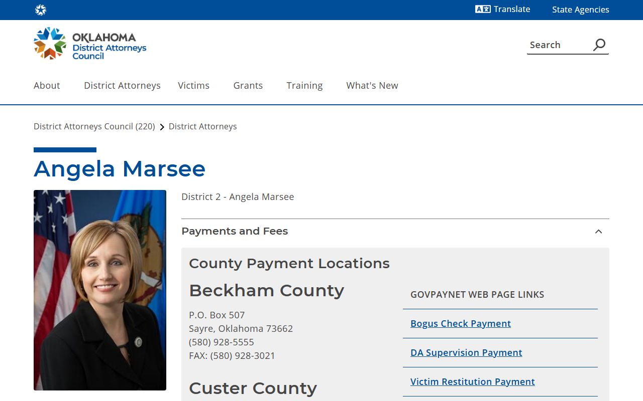 Ellis County criminal court records and the District Attorney District 2 office